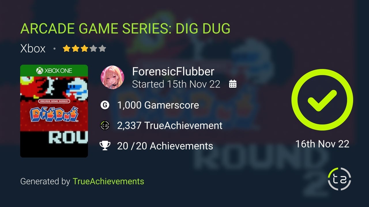 ARCADE GAME SERIES DIG DUG achievement summary